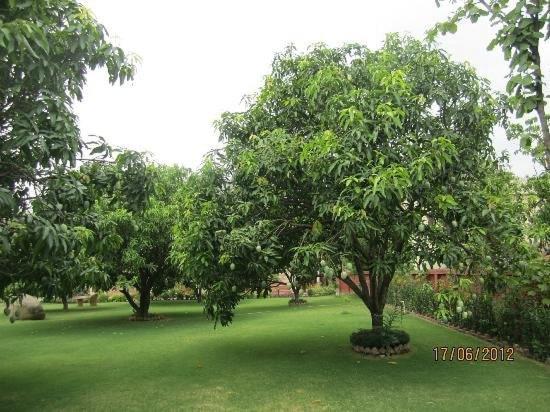 Jim Corbett Resort Rāmnagar Extérieur photo